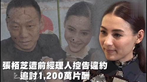娱乐728吃瓜网,揭秘娱乐圈最新吃瓜大事件！