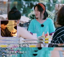 娱乐吃瓜求婚百度云下载,从“421文件”到浪漫求婚，一场娱乐界的奇幻之旅