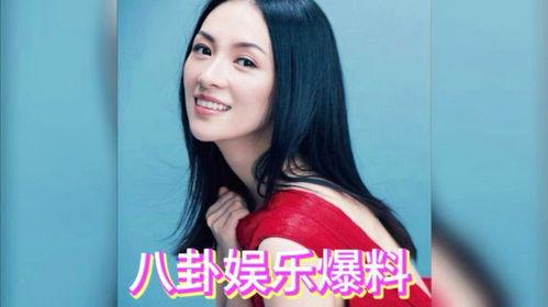 娱乐吃瓜明星团,明星团八卦大揭秘