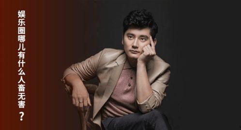 娱乐圈吃瓜钱枫视频合集,盘点明星幕后趣事